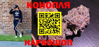 jwh Ярославль