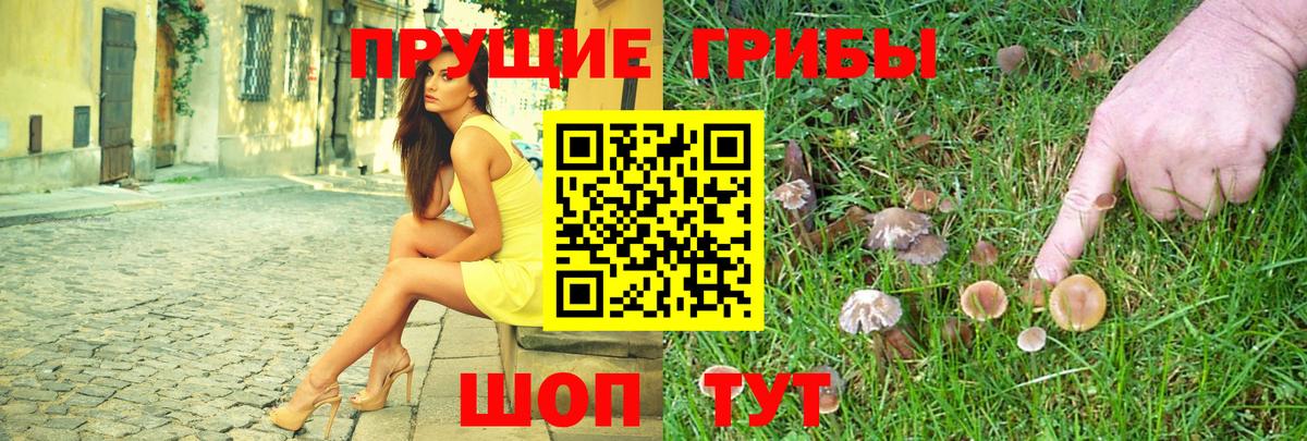 Псилоцибиновые грибы GOLDEN TEACHER Нерюнгри