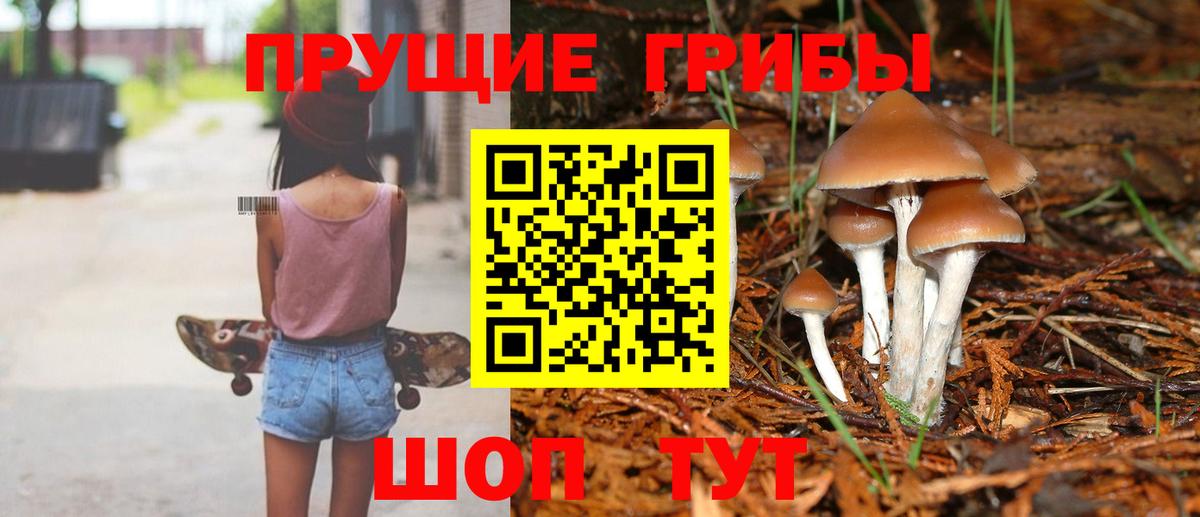 Галлюциногенные грибы ЛСД  Вход с VPN  цены   Нерюнгри 